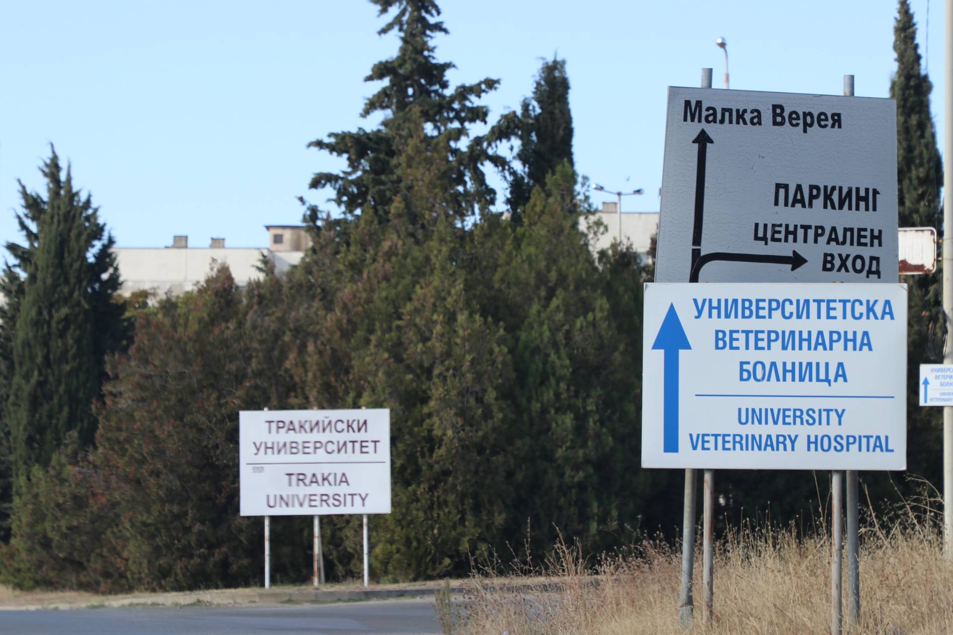 Тракийски университет в Стара Загора